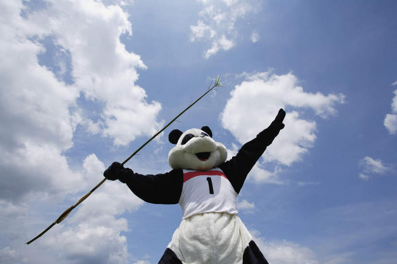 东方人,一个人,站,伸展双臂,笑,微笑,露齿笑,横图,室外,白天,仰视,运动服,锻炼,运动,竹子,野生动物,熊猫,亚洲,仅一个男性,仅一个人,握,阴影,服装,光线,标志,数字,文字,影子,字符,云,云朵,拿,云彩,拿着,注视,黄种人,标识,树枝,仅一个年轻男性,衣服,蓝色,白云,蓝天,天空,阳光,动物,天,观察,看,站着,可爱,模仿,握着,阿拉伯数字,服饰,活泼,晴朗,观看,察看,模拟,衣着,穿着,关注,大熊猫,演出服,猫熊,衣饰,摹拟,体育,男人,男性,年轻男性,亚洲人,晴空,敞开双臂,伸开双臂,展开双肩,站立,张开手臂,张开双臂,半身,彩图,低角度拍摄,健身,运动装