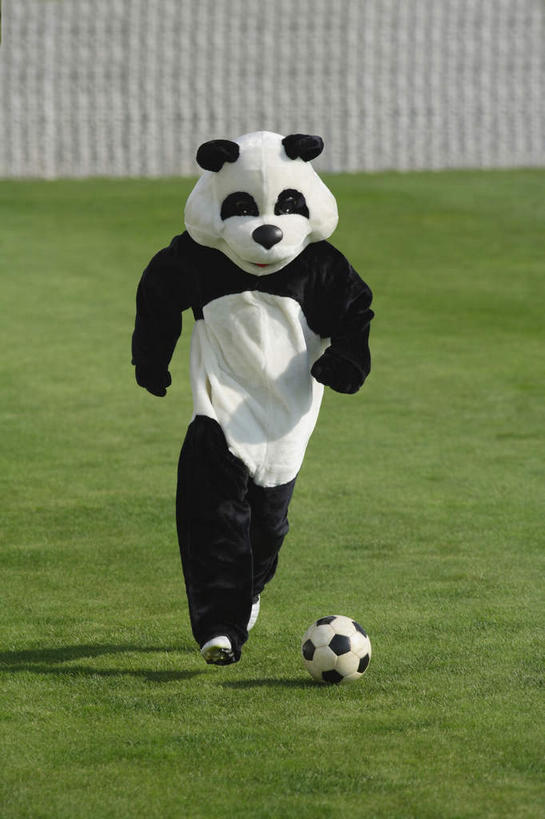 东方人,一个人,足球场,跑,笑,微笑,露齿笑,竖图,室外,白天,正面,运动服,运动鞋,锻炼,运动,足球,草地,草坪,植物,野生动物,熊猫,鞋子,亚洲,仅一个男性,仅一个人,阴影,服装,光线,标志,数字,文字,影子,字符,足球装备,注视,黄种人,标识,运动器械,草,仅一个年轻男性,衣服,绿色,白色,阳光,动物,观察,看,健身器械,可爱,模仿,阿拉伯数字,服饰,活泼,观看,察看,模拟,衣着,穿着,关注,健身器材,绿茵场,大熊猫,演出服,蹴鞠,猫熊,衣饰,摹拟,体育,足球运动,男人,男性,年轻男性,亚洲人,跑步,彩图,全身,健身,足球比赛场地,运动器材,运动装