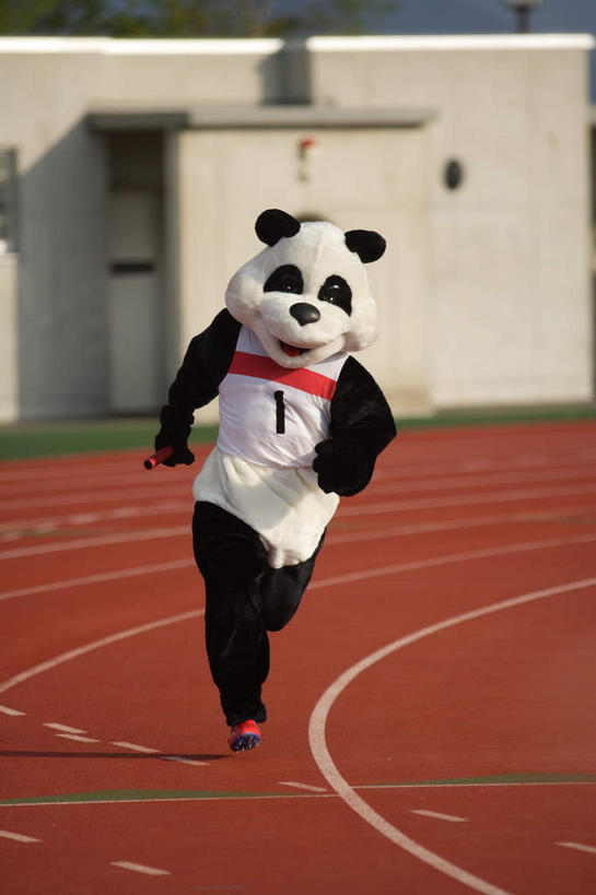 东方人,一个人,体育馆,运动场,跑,笑,微笑,露齿笑,竖图,室外,白天,正面,运动服,运动鞋,锻炼,运动,野生动物,熊猫,鞋子,亚洲,仅一个男性,仅一个人,接力,握,阴影,服装,光线,标志,接力棒,数字,文字,线,影子,字符,墙,跑道,地面,拿,拿着,注视,黄种人,标识,体育场,墙壁,墙面,仅一个年轻男性,衣服,红色,白色,阳光,动物,观察,看,可爱,模仿,握着,空中,阿拉伯数字,服饰,活泼,田径场,观看,察看,模拟,衣着,穿着,关注,标线,大熊猫,演出服,运动馆,猫熊,衣饰,摹拟,体育,男人,男性,年轻男性,亚洲人,跑步,彩图,全身,健身,运动装