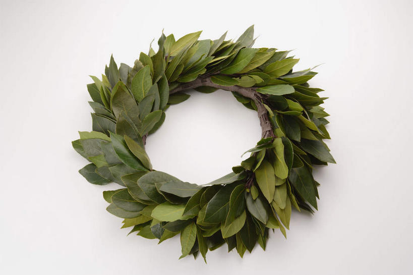 横图,俯视,特写,白天,白色背景,运动服,快乐,兴奋,骄傲,成功,胜利,静物,叶子,服装,绿叶,衣服,嫩叶,自信,摄影,服饰,影棚,衣着,草本,穿着,桂冠,月桂叶,香叶,天竺桂,香桂叶,桂叶,衣饰,月桂,叶,叶片,半身,彩图,高角度拍摄,影棚拍摄,欢乐,开心,拍摄,运动装