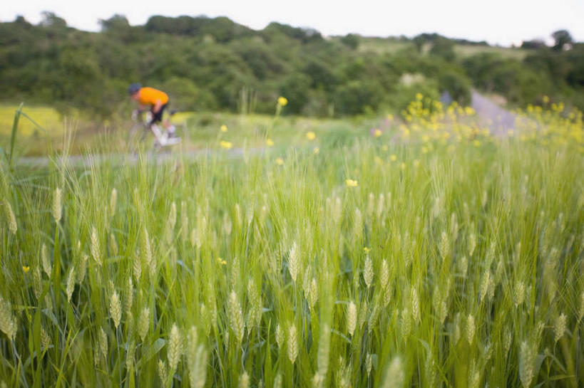 一个人,横图,室外,白天,侧面,运动服,锻炼,旅游,度假,运动,植物,道路,路,公路,自行车,帽子,仅一个男性,仅一个人,阴影,服装,朦胧,模糊,光线,头盔,影子,旷野,田野,交通,娱乐,踩,车,脚踏车,树,树木,仅一个年轻男性,衣服,蓝色,绿色,蓝天,天空,阳光,自然,安全帽,交通工具,天,踩着,驾驶,行驶,享受,休闲,放松,服饰,生长,成长,操纵,控制,载具,原野,室外运动,户外运动,操控,把持,男人,男性,年轻男性,马路,彩图,全身,健身,运动装