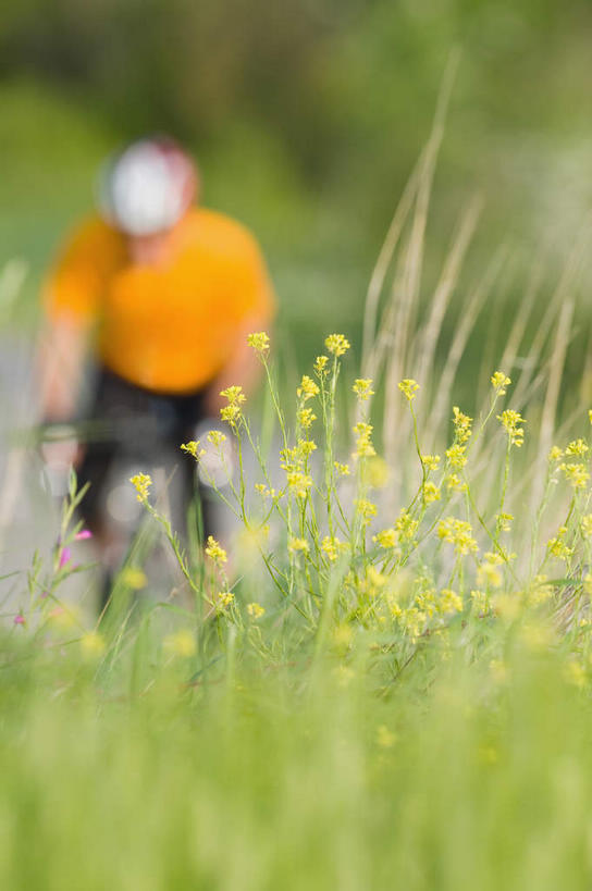 一个人,竖图,室外,白天,正面,运动服,锻炼,旅游,度假,运动,道路,路,公路,自行车,帽子,仅一个男性,仅一个人,弯腰,阴影,服装,朦胧,模糊,光线,头盔,影子,旷野,田野,交通,娱乐,踩,车,脚踏车,仅一个年轻男性,衣服,阳光,安全帽,交通工具,踩着,驾驶,行驶,享受,休闲,放松,服饰,操纵,控制,载具,原野,室外运动,户外运动,操控,弯身,把持,男人,男性,年轻男性,马路,半身,彩图,健身,运动装