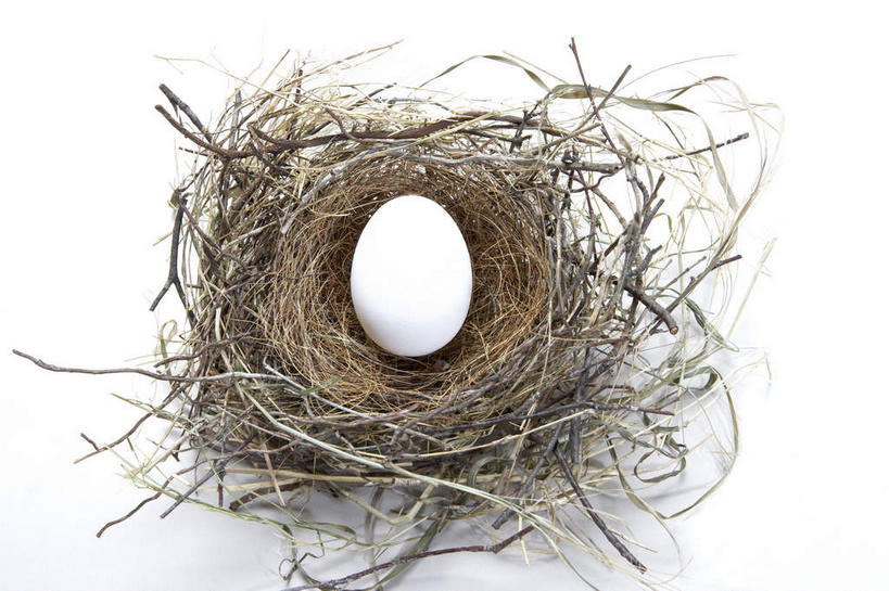 无人,横图,俯视,室内,特写,白天,白色背景,植物,阴影,环绕,干枯,缠绕,反射,鸟巢,影子,蛋,鸡蛋,枝条,一颗,树,树木,树枝,白色,摄影,影棚,干涸,凋谢,纠缠,草鸡蛋,卵,虬枝,枝杈,枯槁,彩图,高角度拍摄,影棚拍摄,拍摄