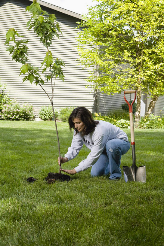 西方人,一个人,家,蹲,竖图,室外,白天,正面,草地,草坪,植物,金属制品,欧洲,欧洲人,仅一个女性,仅一个人,种植,服装,裤子,金属,铲子,工具,房屋,屋子,注视,牛仔裤,休闲装,楼房,住宅,草,树,树木,衣服,绿色,自然,观察,看,仅一个中年女性,休闲,休闲服,服饰,生长,成长,观看,挖掘,察看,栽种,关注,农具,耕具,开掘,发掘,开垦,女人,女性,中年女性,白种人,蹲着,彩图,全身,房子