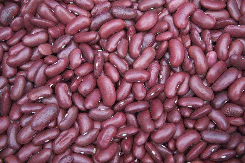 无人,横图,俯视,室内,特写,白天,植物,豆,蔬菜,一堆,许多,阴影,堆叠,堆积,新鲜,反射,影子,豆类,豆子,刀豆,食品,四季豆,食物,有机食品,绿色食品,堆,红芸豆,芸豆,豆科,菜豆,二季豆,白肾豆,架豆,玉豆,去豆,彩图,高角度拍摄