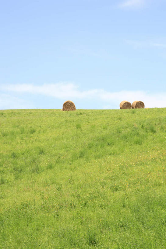 无人,竖图,室外,白天,仰视,旅游,度假,草地,草坪,美景,植物,北海道,日本,亚洲,阴影,光线,影子,景观,云,云朵,干草堆,云彩,娱乐,草,三个,蓝色,绿色,白云,蓝天,天空,阳光,自然,天,享受,休闲,景色,放松,晴朗,自然风光,东亚,日本国,北海道地方,北海道岛,美瑛町,美瑛,晴空,彩图,低角度拍摄