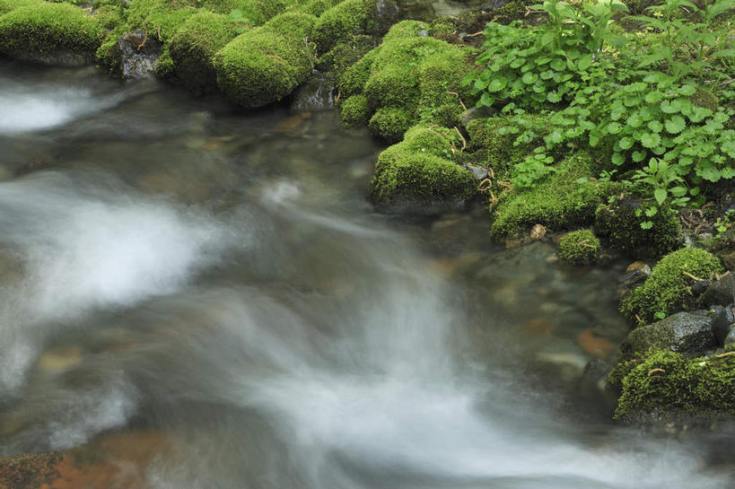 无人,横图,俯视,室外,白天,旅游,度假,河流,石头,美景,水,长野县,日本,亚洲,石子,河水,景观,水流,青苔,苔藓,娱乐,小溪,自然,溪水,享受,休闲,景色,放松,自然风光,东亚,本州,本州岛,日本国,中部地方,长野,上高地,石块,岩石,彩图,高角度拍摄