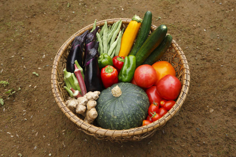 无人,横图,俯视,室外,白天,玉米,蔬菜,西红柿,一堆,许多,堆叠,堆积,新鲜,棒子,篮子,箩筐,玉蜀黍,食品,食物,一个,藤编,有机食品,绿色食品,单个,堆,苞米,苞芦,苞谷,包谷,大蜀黍,番麦,薏米包,玉高粱,玉麦,珍珠米,番茄,彩图,高角度拍摄