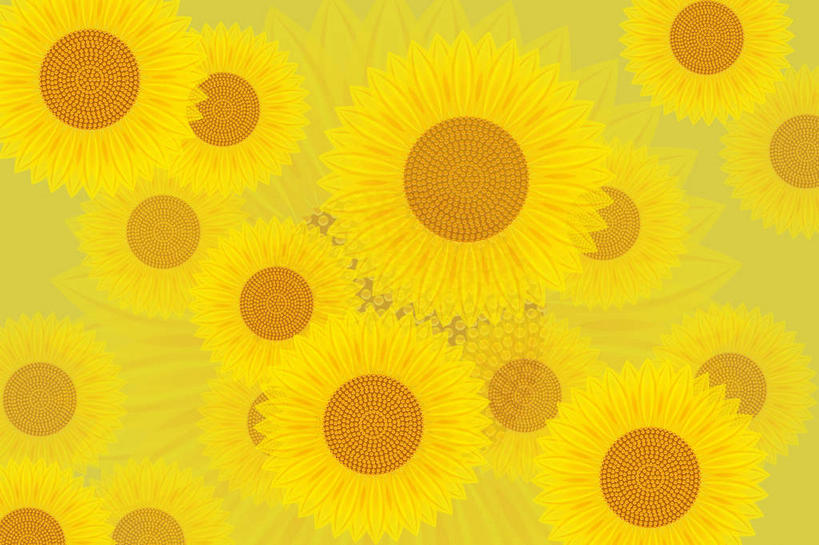 无人,横图,俯视,插画,室内,特写,白天,正面,数码,科技,植物,向日葵,阴影,网络,圆形,影子,光,高光,几何,计算机图形,合成,图画,画,黄色,自然,生长,成长,电脑合成图,数码合成图,脆弱,清新,漫画,光效,写实,具体,具象,式样,彩图,高角度拍摄