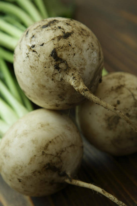 无人,竖图,俯视,室内,特写,白天,餐桌,桌子,萝卜,白萝卜,蔬菜,朦胧,模糊,新鲜,泥土,土壤,食品,球形,食物,三个,绿色,有机食品,绿色食品,餐台,莱菔,彩图,高角度拍摄
