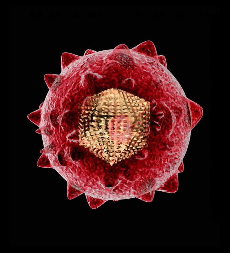 无人,竖图,插画,室内,白天,正面,数码,科技,微生物,阴影,黑色背景,发光,网络,医学,高光,几何,计算机图形,合成,图画,画,球,红色,球体,生物,电脑合成图,数码合成图,医疗,病毒,生物学,漫画,写实,具体,具象,寄生,生命体,生物病毒,肝炎,彩图