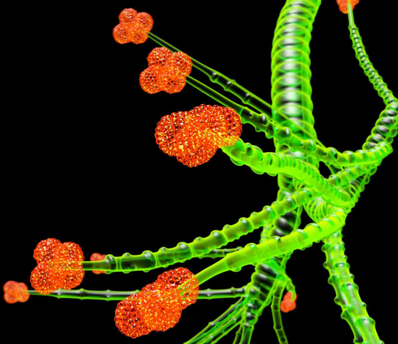 内脏,肺,动脉,静脉,无人,横图,插画,室内,白天,正面,数码,科技,许多,连接,阴影,黑色背景,组合,网络,很多,高光,几何,计算机图形,合成,图画,分开,画,球,黄色,绿色,模型,分叉,链接,分散,电脑合成图,数码合成图,人体器官,紧固,器官,拼接,拼凑,漫画,支气管,医疗保健,写实,具体,具象,拼合,凑集,聚合,撮合,链结,牢固,支气管树,呼吸系统,肺部,肺脏,接触,彩图