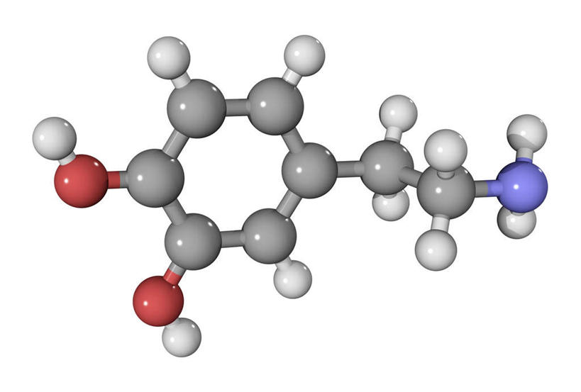 无人,横图,插画,室内,特写,白天,白色背景,正面,数码,分子,科技,阴影,网络,化学,高光,几何,计算机图形,合成,图画,画,球,红色,蓝色,白色,模型,球体,生物,电脑合成图,数码合成图,原子,漫画,写实,具体,具象,多巴胺,神经质,模子,彩图