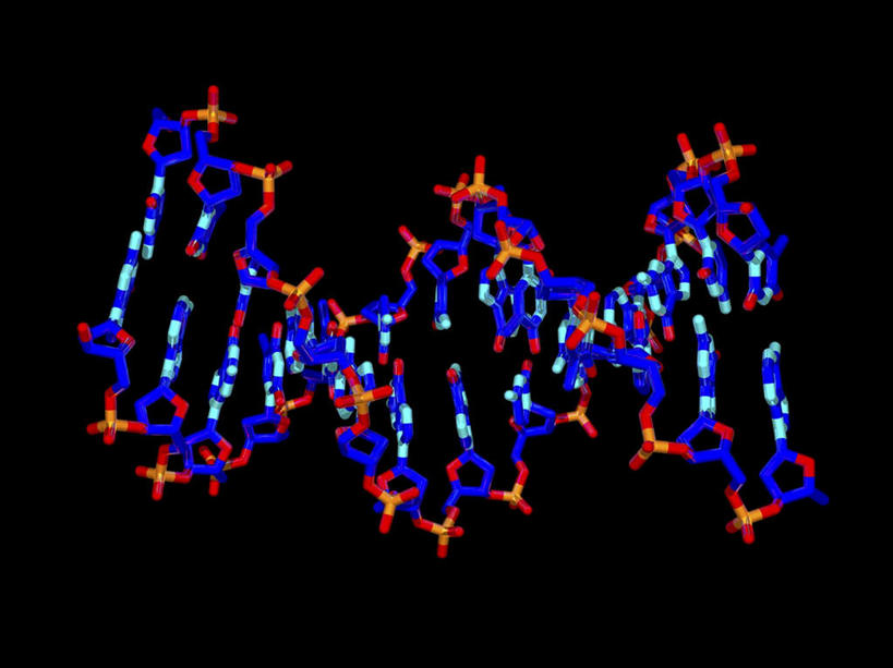 无人,横图,插画,室内,特写,白天,正面,数码,科技,微生物,阴影,黑色背景,网络,医学,高光,几何,计算机图形,合成,图画,画,生物,电脑合成图,数码合成图,医疗,病毒,生物学,漫画,写实,具体,具象,寄生,生命体,生物病毒,肝炎,彩图