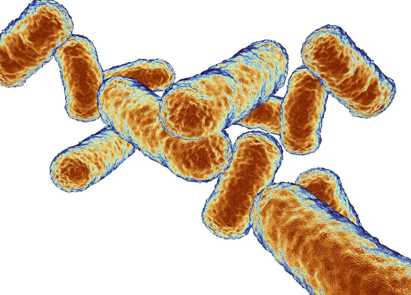 无人,横图,插画,室内,特写,白天,正面,数码,科技,微生物,一堆,许多,阴影,堆叠,堆积,网络,细菌,医学,高光,几何,计算机图形,合成,图画,画,黄色,生物,堆,电脑合成图,数码合成图,医疗,生物学,漫画,写实,具体,具象,杆菌,寄生,生命体,棒状杆菌,彩图