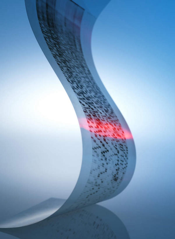 无人,竖图,室内,特写,白天,白色背景,正面,电子,激光,静物,一张,朦胧,模糊,光线,科学,信息,基因,标签,符号,数字,灯光,纸条,纸张,标识,生物,摄影,影棚,遗传,条形码,编码,条码,遗传信息,遗传因子,遗传学,彩图,影棚拍摄,拍摄