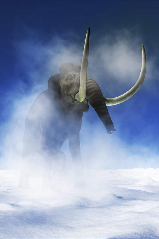 无人,站,竖图,插画,室内,特写,白天,仰视,数码,科技,雪,大雪,哺乳动物,大象,野生动物,一头,阴影,网络,积雪,雪景,云,云朵,冬季,冬天,高光,几何,计算机图形,合成,云彩,图画,注视,画,蓝色,白云,蓝天,天空,动物,天,观察,看,站着,寒冷,晴朗,观看,电脑合成图,数码合成图,察看,关注,漫画,写实,具体,具象,严寒,灭尽,灭绝,嵌齿象,三棱齿象,史前生物,四偏齿象,晴空,象,站立,彩图,低角度拍摄,全身