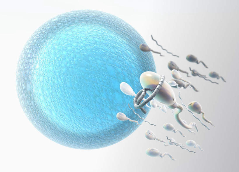 无人,横图,插画,室内,特写,白天,正面,数码,科技,许多,阴影,灰色背景,研究,透明,科学,网络,很多,高光,几何,计算机图形,合成,图画,画,一个,蓝色,精子,单个,游动,电脑合成图,数码合成图,机器人,卵子,漫画,写实,具体,具象,理智,沉静,受精,受精作用,冷色,高深,冷淡,研讨,钻研,纳米,彩图