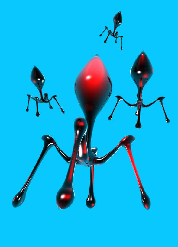 无人,竖图,室内,特写,白天,正面,数码,科技,微生物,阴影,蓝色背景,透明,网络,医学,高光,几何,计算机图形,合成,排列,蓝色,四个,生物,怪异,电脑合成图,数码合成图,医疗,病毒,生物学,写实,具体,具象,理智,沉静,寄生,生命体,生物病毒,噬菌体,摆列,冷色,高深,冷淡,独特,彩图,布列,分列