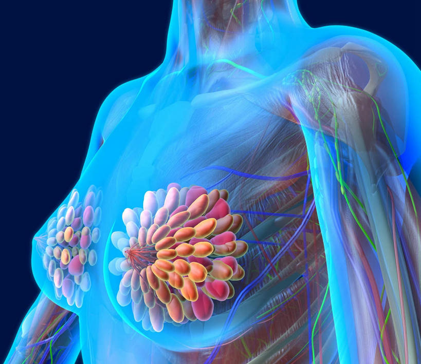 胸,乳房,乳头,骨骼,肌肉,血管,无人,横图,插画,室内,特写,白天,正面,数码,科技,一排,许多,阴影,蓝色背景,整齐,透明,网络,医学,椭圆,骨头,很多,高光,几何,计算机图形,合成,图画,画,排列,两个,蓝色,模型,电脑合成图,数码合成图,骨架,队列,漫画,生理学,写实,具体,具象,理智,沉静,乳腺,通明,冷色,高深,冷淡,模子,女性,胸部,彩图