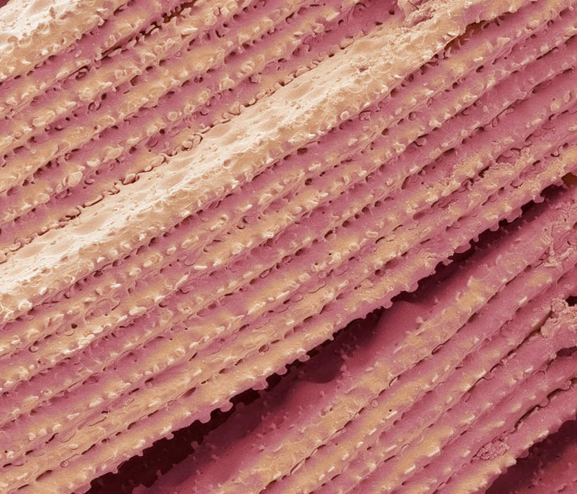 无人,横图,室内,特写,白天,正面,幸福,数码,科技,一排,阴影,条纹,整齐,网络,高光,几何,计算机图形,辉煌,合成,排列,一个,温暖,橙色,活泼,单个,华丽,暖色,电脑合成图,数码合成图,眼球,队列,温情,写实,具体,具象,炽热,响亮,跃动,甜蜜,彩图,愉快,晶状体