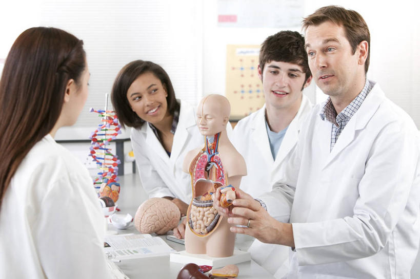 西方人,内脏,动脉,静脉,四个人,伙伴,朋友,学生,教师,坐,笑,微笑,露齿笑,横图,室内,白天,正面,友谊,桌面,桌子,静物,欧洲,欧洲人,大脑,握,服装,科学,基因,医学,实验室,研究室,拿,拿着,扭头,注视,衣服,白色,模型,扶,观察,看,转头,同学,生物,握着,人体,服饰,遗传,观看,察看,生物学,人体器官,脱氧核糖核酸,扶着,衣着,器官,白大褂,校友,穿着,关注,沟壑,试验室,实验服,小脑,脑干,生理学,同窗,学友,大脑皮层,端脑,沟,灰质,回,间脑,DNA分子,去氧核糖核酸,遗传信息,遗传因子,遗传学,衣饰,门生,友情,模子,男人,男性,年轻男性,年轻女性,女人,女性,中年男性,白种人,讲师,教授,老师,坐着,半身,彩图,实验衣