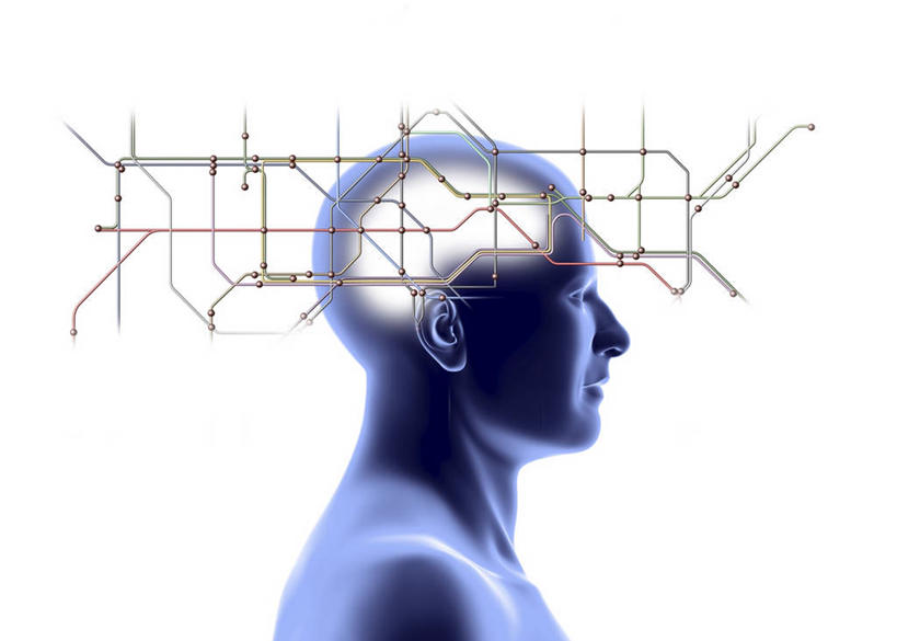 脑,脊髓,一个人,无人,横图,插画,室内,白天,白色背景,正面,数码,科技,大脑,仅一个男性,仅一个人,连接,阴影,网络,高光,几何,计算机图形,合成,线路,图画,画,仅一个年轻男性,模型,电脑合成图,数码合成图,器官,合成图,沟壑,漫画,小脑,脑干,写实,具体,具象,大脑皮层,端脑,沟,灰质,回,间脑,脊神经,脑神经,贯穿,连结,衔接,中枢神经系统,周围神经系统,串连,模子,男人,男性,年轻男性,脊柱,半身,彩图,调节系统,植物性神经,周围神经,神经系统,中枢神经