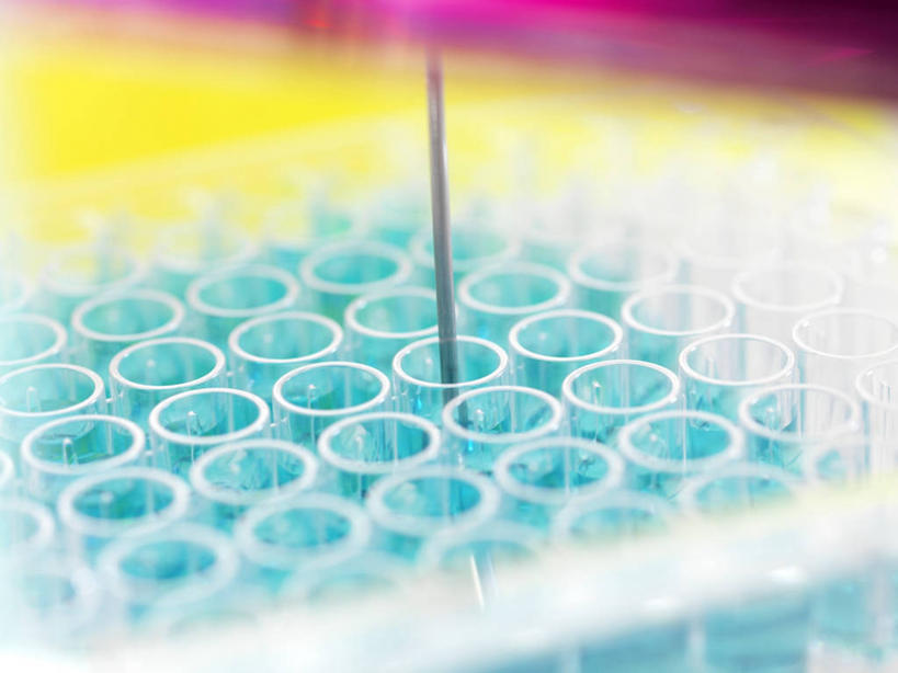 无人,横图,俯视,室内,特写,白天,实验,仪器,桌面,桌子,杯子,一排,许多,朦胧,模糊,研究,整齐,并列,并排,透明,分析,化学,测试,木制,试管,试管架,液体,很多,架子,玻璃制品,排列,一个,黄色,蓝色,玻璃瓶,木制品,瓶子,搅拌棒,器皿,摄影,影棚,单个,队列,平行,计量,玻璃仪器,试验耗材,实验用品,理智,沉静,冷色,高深,冷淡,玻璃杯,搅棒,彩图,高角度拍摄,影棚拍摄,拍摄