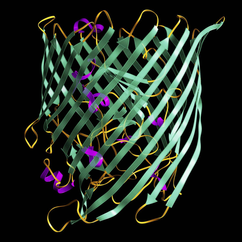 无人,交叉,方图,插画,室内,白天,正面,数码,分子,科技,阴影,黑色背景,环绕,缠绕,网络,化学,线条,高光,几何,计算机图形,合成,图画,方向,箭头,画,黄色,红色,绿色,模型,电脑合成图,数码合成图,指向,合成图,原子,蛋白质,纠缠,漫画,粒子,写实,具体,具象,簇,相交,交集,细胞膜,模子,彩图,白蛋白,清蛋白,生物膜,细胞质膜,原生质膜,质膜,球蛋白,薄膜