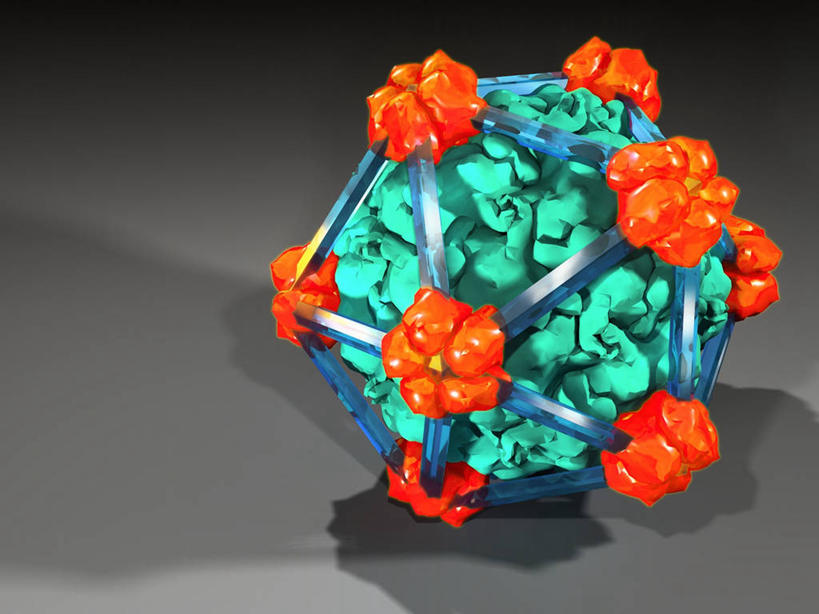 无人,横图,插画,室内,白天,正面,数码,分子,科技,微生物,阴影,灰色背景,网络,化学,医学,图形,高光,几何,计算机图形,合成,图画,画,一个,绿色,球体,橙色,生物,单个,电脑合成图,数码合成图,医疗,病毒,生物学,分子结构,合成图,原子,数学,漫画,粒子,写实,具体,具象,寄生,生命体,生物病毒,噬菌体,分子几何,分子立体结构,分子形状,彩图,几何图形,立体几何,立体图形