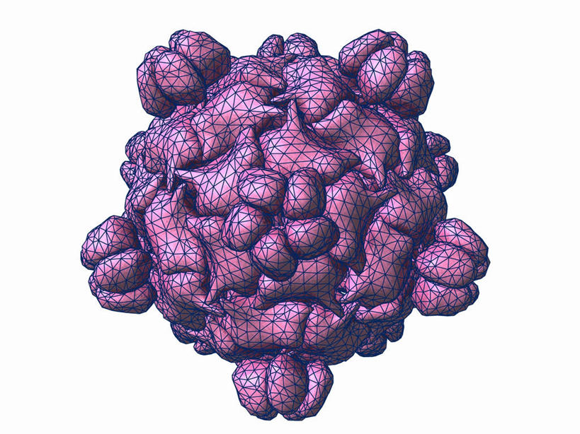 无人,横图,插画,室内,白天,白色背景,正面,数码,分子,科技,微生物,阴影,网络,化学,医学,高光,几何,计算机图形,合成,图画,画,一个,紫色,生物,单个,电脑合成图,数码合成图,医疗,病毒,生物学,合成图,原子,漫画,粒子,写实,具体,具象,寄生,生命体,生物病毒,噬菌体,彩图