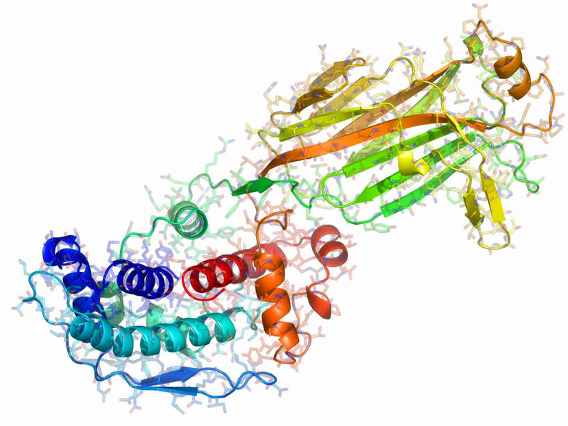 无人,横图,彩色,插画,室内,白天,白色背景,正面,数码,分子,科技,微生物,阴影,网络,化学,医学,高光,几何,计算机图形,合成,图画,画,生物,五颜六色,色彩斑斓,电脑合成图,数码合成图,医疗,病毒,生物学,分子结构,合成图,原子,五彩缤纷,漫画,粒子,写实,具体,具象,五彩斑斓,寄生,生命体,生物病毒,呼肠孤病毒,五光十色,分子几何,分子立体结构,分子形状,螺旋状,彩图,螺旋形,螺旋形状,螺旋型,轮状病毒