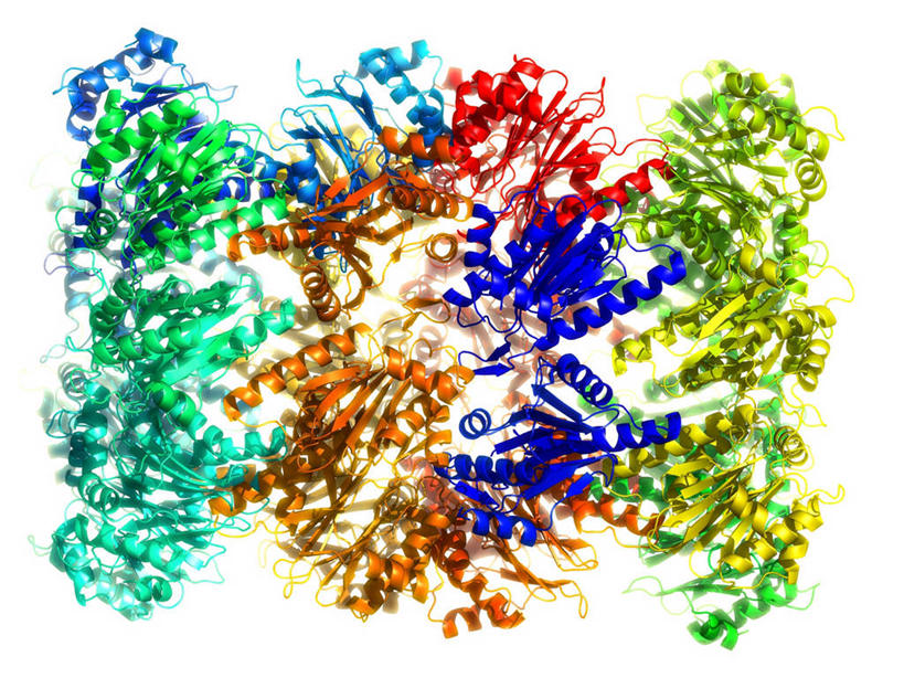 无人,横图,彩色,插画,室内,白天,白色背景,正面,数码,分子,科技,阴影,网络,化学,高光,几何,计算机图形,合成,图画,画,五颜六色,色彩斑斓,电脑合成图,数码合成图,分子结构,合成图,原子,蛋白质,五彩缤纷,漫画,粒子,写实,具体,具象,五彩斑斓,五光十色,分子几何,分子立体结构,分子形状,螺旋状,彩图,螺旋形,螺旋形状,螺旋型,白蛋白,清蛋白,球蛋白,蛋白酶体,蛋白质复合体