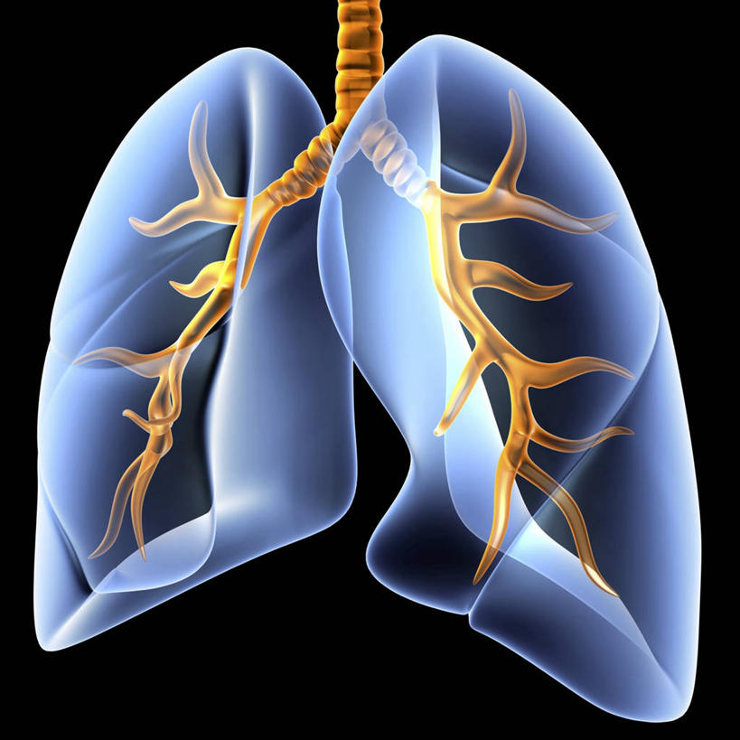 内脏,肺,动脉,静脉,无人,方图,插画,室内,白天,正面,数码,科技,阴影,黑色背景,科学,网络,医学,高光,几何,计算机图形,系统,合成,图画,画,黄色,蓝色,人体,电脑合成图,数码合成图,生物学,人体器官,器官,合成图,呼吸,漫画,写实,具体,具象,呼吸系统,自然科学,博物学,生物科学,肺部,肺脏,彩图,吐故纳新,气体交换