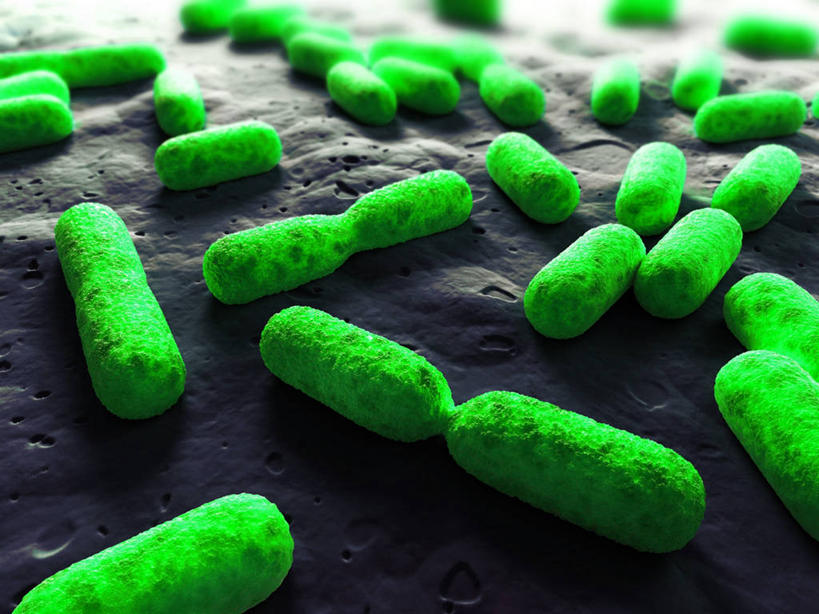 无人,横图,插画,室内,白天,正面,数码,科技,微生物,许多,阴影,黑色背景,新鲜,科学,网络,细胞,高光,几何,计算机图形,合成,图画,画,绿色,青春,电脑合成图,数码合成图,生物学,生命,合成图,繁殖,和平,安详,漫画,写实,具体,具象,细胞分裂,子细胞,冷色,自然科学,博物学,生物科学,彩图,活细胞,母细胞,蕃殖,繁生,孳生,滋生