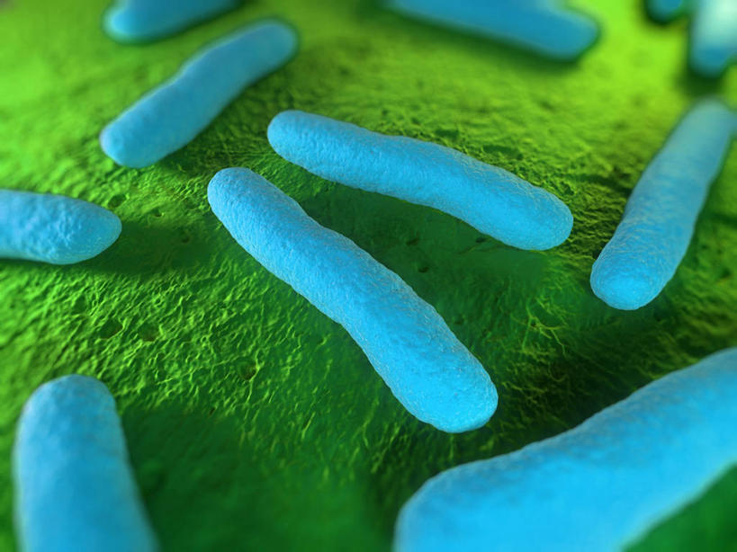 无人,横图,插画,室内,白天,正面,数码,科技,微生物,许多,绿色背景,阴影,透明,科学,网络,细菌,高光,几何,计算机图形,合成,图画,画,蓝色,电脑合成图,数码合成图,生物学,合成图,漫画,写实,具体,具象,理智,沉静,生命体,大肠杆菌,大肠埃希氏菌,肠道菌群,冷色,高深,冷淡,自然科学,博物学,生物科学,彩图