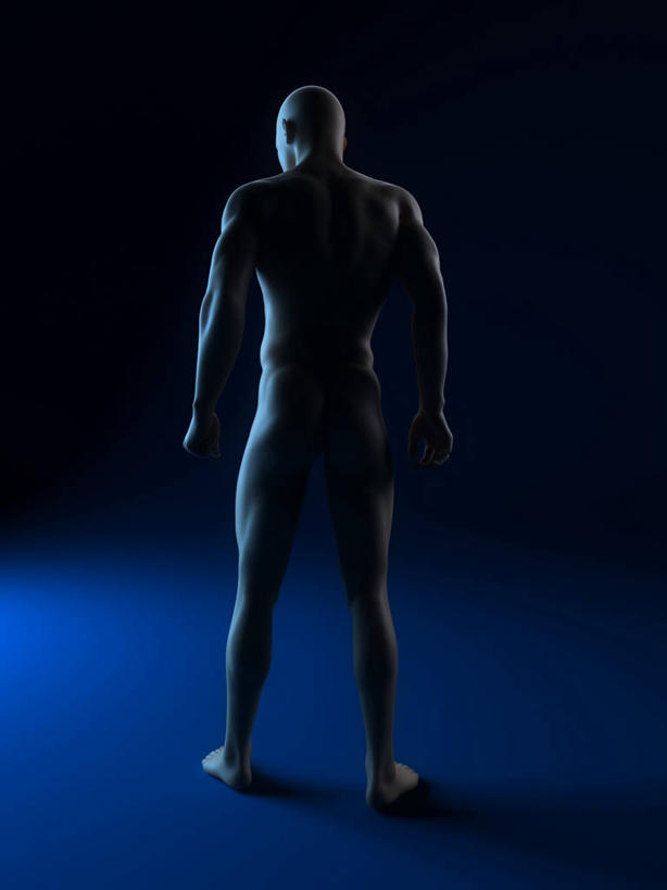 一个人,无人,站,竖图,插画,室内,白天,数码,科技,仅一个男性,仅一个人,阴影,蓝色背景,网络,高光,几何,计算机图形,合成,图画,裸露,画,仅一个年轻男性,背面,站着,赤裸,电脑合成图,数码合成图,合成图,裸,漫画,剖面,切面,写实,具体,具象,男人,男性,年轻男性,站立,彩图,全身,剖视图,剖切面,剖视