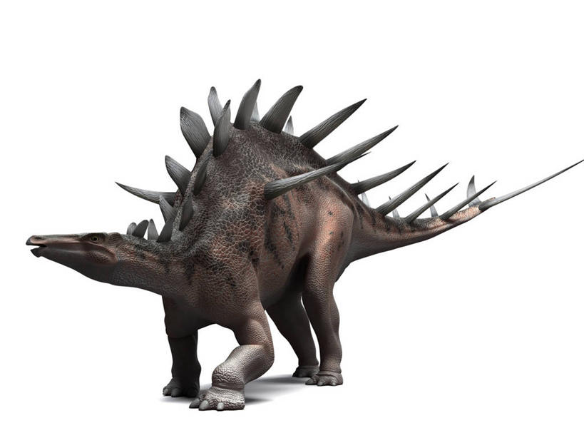 无人,走,横图,插画,室内,白天,白色背景,侧面,数码,科技,阴影,网络,高光,几何,计算机图形,合成,图画,注视,画,一只,观察,看,恐龙,观看,电脑合成图,数码合成图,察看,合成图,关注,凶猛,漫画,剑龙,写实,具体,具象,灭尽,灭绝,史前动物,侏罗纪,凶残,步行,散步,走路,彩图,全身,肯氏龙,钉状龙