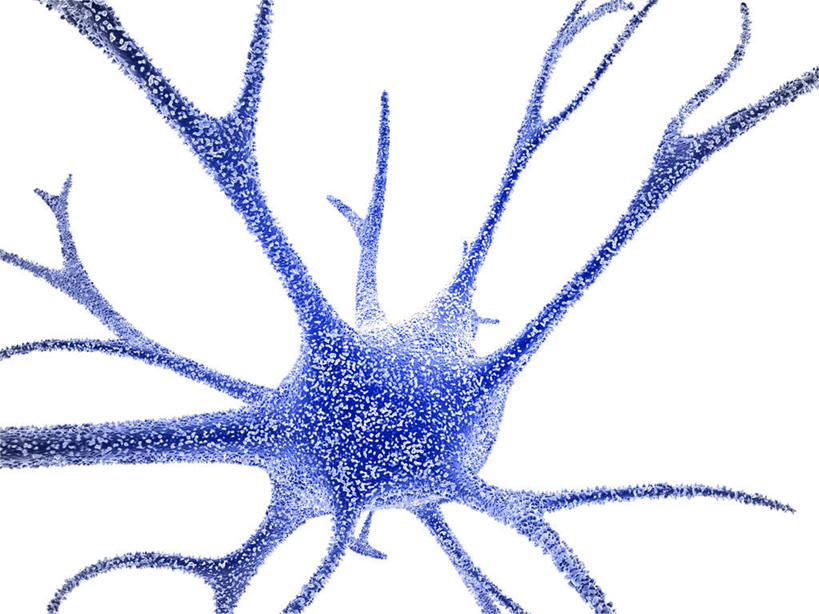 神经,无人,横图,插画,室内,白天,白色背景,正面,数码,科技,阴影,网络,医学,高光,几何,计算机图形,合成,图画,画,一个,蓝色,模型,单个,电脑合成图,数码合成图,生物学,漫画,写实,具体,具象,轴突,彩图,神经系统,中枢神经