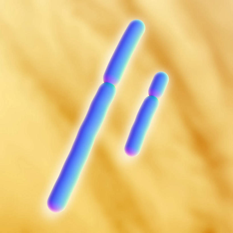 无人,方图,插画,室内,白天,正面,数码,科技,阴影,黄色背景,科学,网络,基因,细胞核,染色体,高光,几何,计算机图形,合成,图画,画,两个,生物,遗传,电脑合成图,数码合成图,脱氧核糖核酸,蛋白质,漫画,写实,具体,具象,核糖核酸,染色质,遗传信息,遗传因子,遗传学,彩图