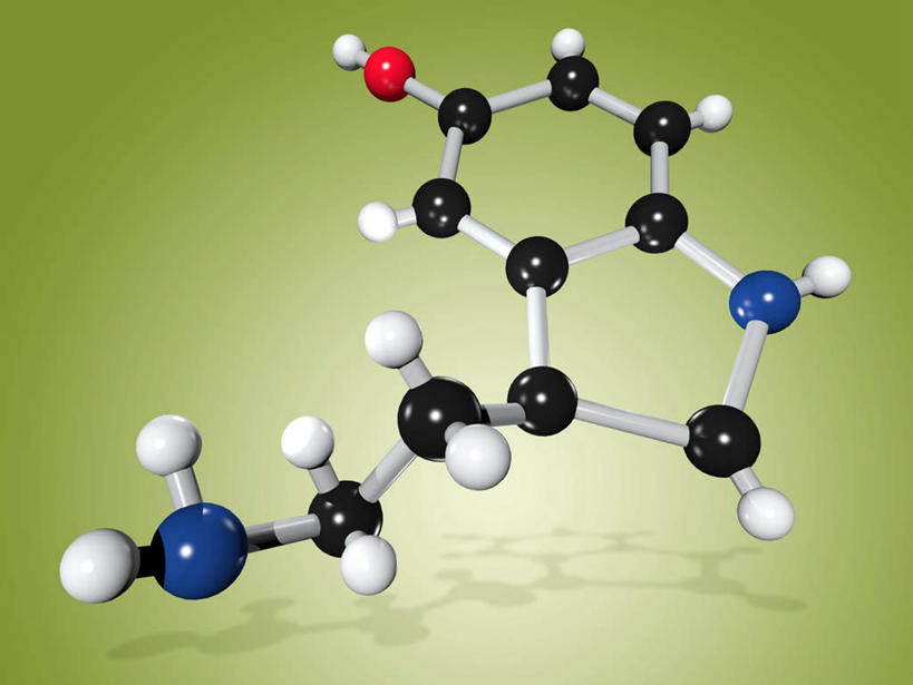 无人,横图,插画,室内,白天,正面,数码,科技,许多,连接,绿色背景,阴影,组合,研究,科学,网络,化学,结构,圆,很多,高光,几何,计算机图形,构造,合成,图画,画,球,红色,蓝色,黑色,球体,链接,电脑合成图,数码合成图,科研,紧固,布局,拼接,拼凑,漫画,写实,具体,具象,拼合,凑集,聚合,撮合,链结,牢固,生化,生物化学,彩图,神经系统