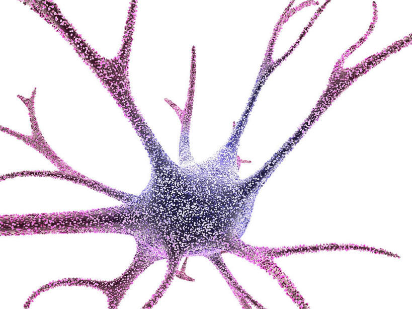 神经,无人,横图,插画,室内,白天,白色背景,正面,数码,科技,静物,阴影,网络,医学,细胞,粉红,高光,几何,计算机图形,合成,图画,画,人体,电脑合成图,数码合成图,生物学,漫画,生理学,写实,具体,具象,神经细胞,中枢神经系统,彩图,神经系统