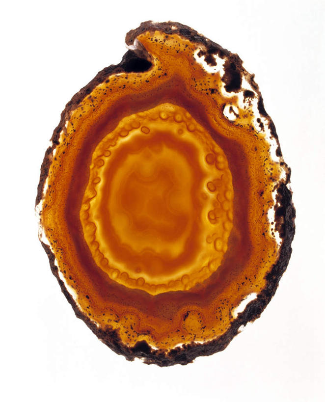 无人,竖图,俯视,室内,特写,白天,白色背景,石头,静物,纹路,圆形,石子,圆环,玛瑙,褐色,三个,一个,黄色,红色,摄影,影棚,单个,矿产,宝石,螺纹,横截面,石英,绿松石,绿柱石,石块,彩图,高角度拍摄,影棚拍摄,拍摄,玉髓,钾长石,边沿,边缘,地质