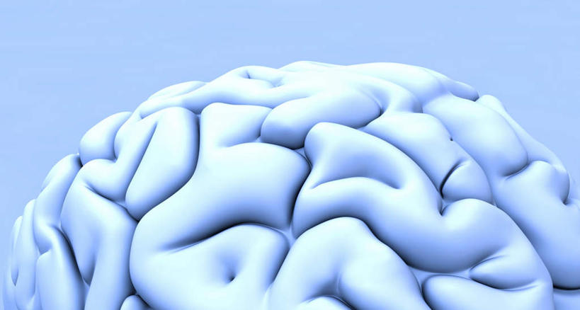 无人,横图,室内,特写,白天,正面,数码,科技,大脑,阴影,蓝色背景,网络,高光,几何,计算机图形,合成,电脑合成图,数码合成图,器官,沟壑,小脑,脑干,写实,具体,具象,大脑皮层,端脑,沟,灰质,回,间脑,中枢神经系统,彩图,神经系统