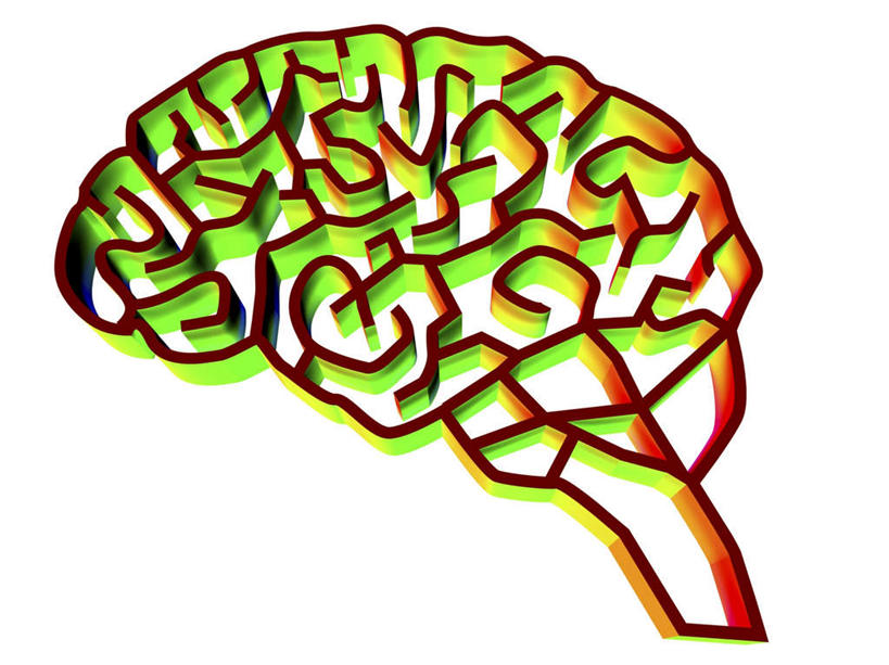 无人,横图,室内,特写,白天,白色背景,正面,数码,科技,大脑,阴影,发光,网络,高光,几何,计算机图形,合成,绿色,电脑合成图,数码合成图,器官,迷宫,沟壑,小脑,脑干,写实,具体,具象,大脑皮层,端脑,沟,灰质,回,间脑,中枢神经系统,彩图,神经系统