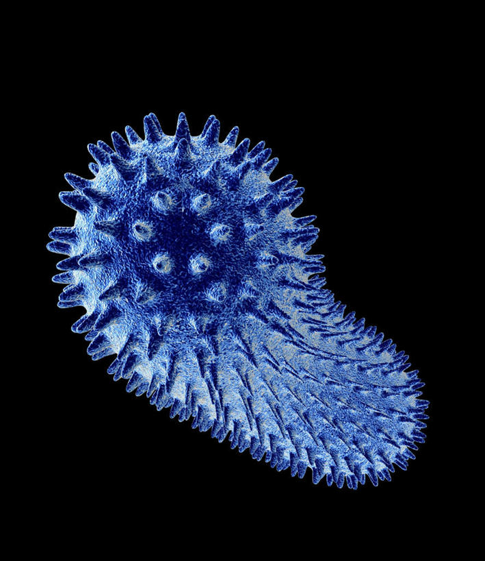 无人,竖图,室内,特写,白天,正面,数码,科技,一堆,连接,阴影,堆叠,堆积,黑色背景,组合,环绕,缠绕,网络,细胞,高光,几何,计算机图形,球形,合成,蓝色,球体,堆,链接,电脑合成图,数码合成图,拼接,拼凑,纠缠,写实,具体,具象,拼合,凑集,聚合,撮合,链结,球菌,脚底,彩图,芽孢菌