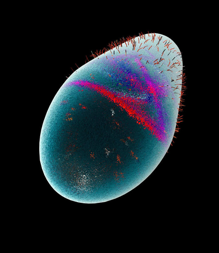 无人,竖图,室内,特写,白天,正面,数码,科技,一堆,连接,阴影,堆叠,堆积,黑色背景,组合,环绕,缠绕,网络,细胞,高光,几何,计算机图形,球形,合成,球体,堆,链接,电脑合成图,数码合成图,拼接,拼凑,纠缠,写实,具体,具象,拼合,凑集,聚合,撮合,链结,球菌,脚底,彩图,芽孢菌