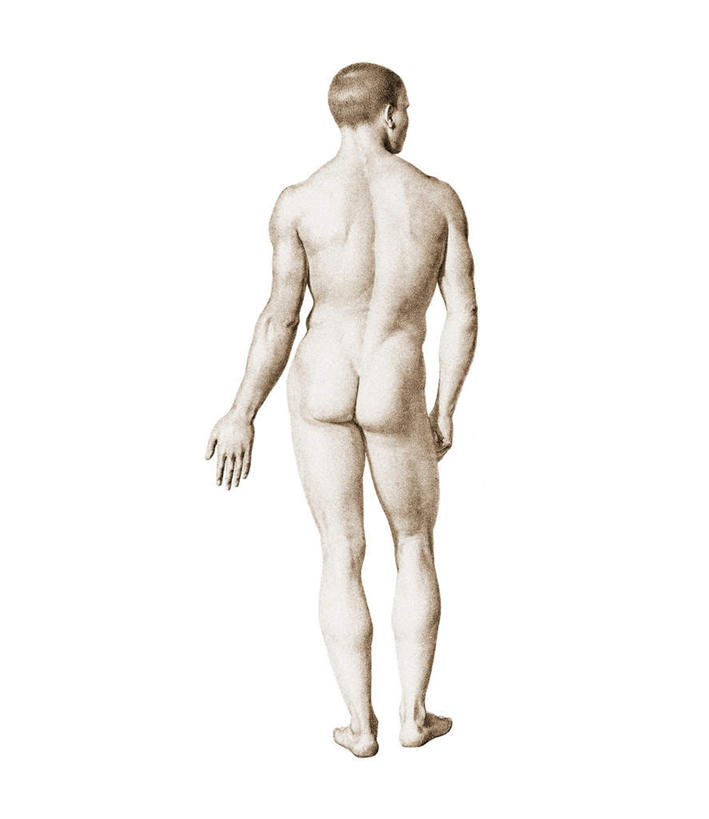 西方人,一个人,无人,站,竖图,插画,室内,白天,白色背景,数码,科技,欧洲,欧洲人,仅一个男性,仅一个人,阴影,网络,高光,几何,计算机图形,合成,图画,扭头,裸露,画,仅一个年轻男性,背面,灰色,模型,站着,转头,躯干,赤裸,电脑合成图,数码合成图,裸,漫画,写实,具体,具象,躯体,模子,男人,男性,年轻男性,白种人,站立,彩图,全身