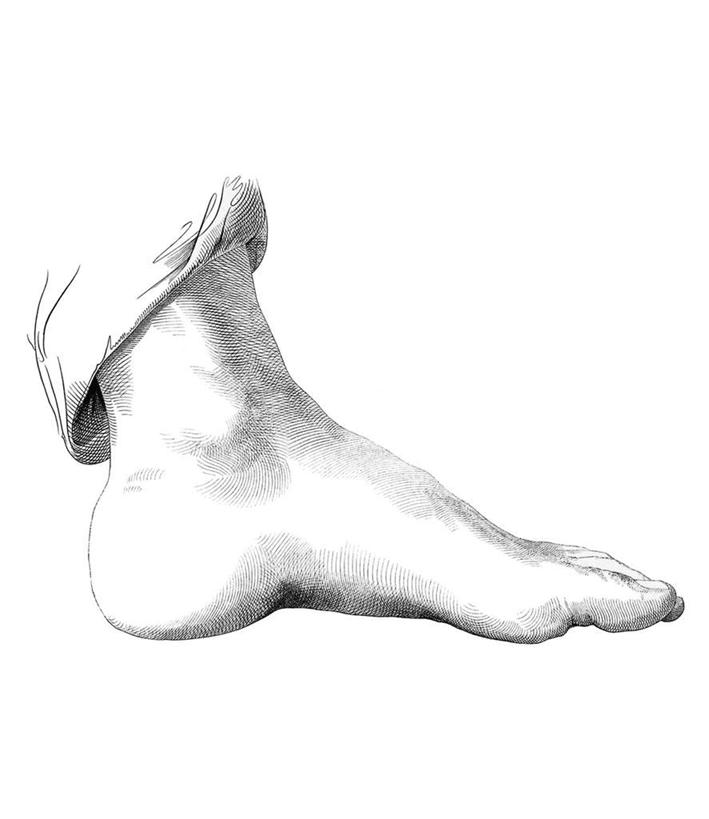 腿部,脚,脚趾,脚趾甲,腿,无人,竖图,黑白,插画,室内,白天,白色背景,正面,数码,科技,阴影,网络,高光,几何,计算机图形,合成,图画,画,一只,灰色,模型,躯干,电脑合成图,数码合成图,漫画,写实,具体,具象,躯体,模子,脚指甲,半身