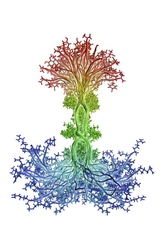无人,竖图,彩色,室内,白天,白色背景,正面,数码,科技,微生物,阴影,分离,网络,医学,蛋白,高光,几何,计算机图形,合成,扩散,生物,五颜六色,分散,色彩斑斓,电脑合成图,数码合成图,生物学,蛋白质,五彩缤纷,写实,具体,具象,五彩斑斓,生命体,涣散,疏散,五光十色,彩图,蛋白聚糖